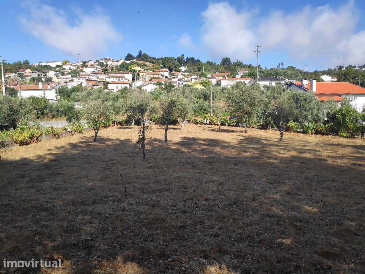 Excelente Terreno para Construção - Grande imagem: 5/8