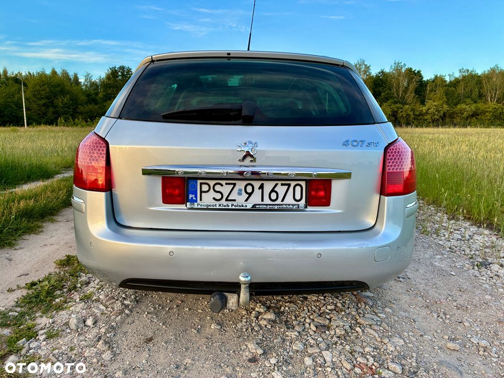 Peugeot 407 - 8