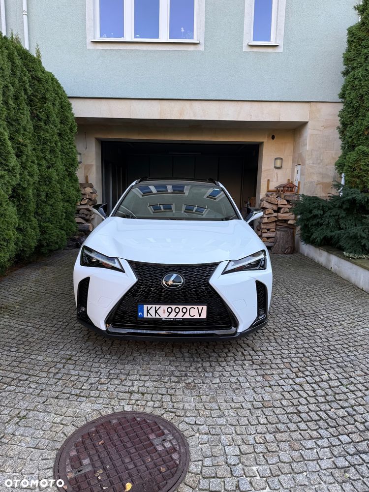 Lexus UX 250h GPF F Sport Edition AWD - 2