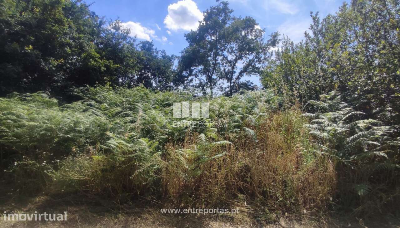 Venda Terreno com 6107m2, Soalhães, Marco de Canaveses - Grande imagem: 2/30