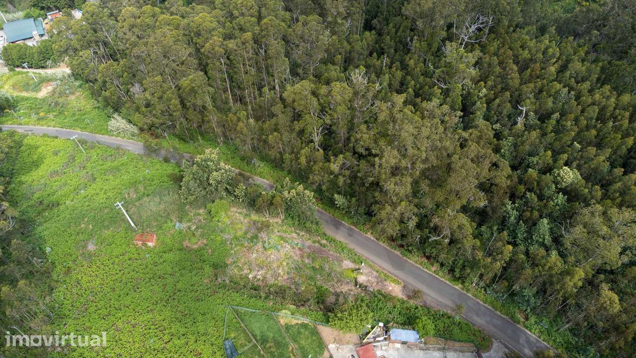 Oportunidade Única no Arco da Calheta – Terreno Urbano com 5.181 m2 - Grande imagem: 2/26