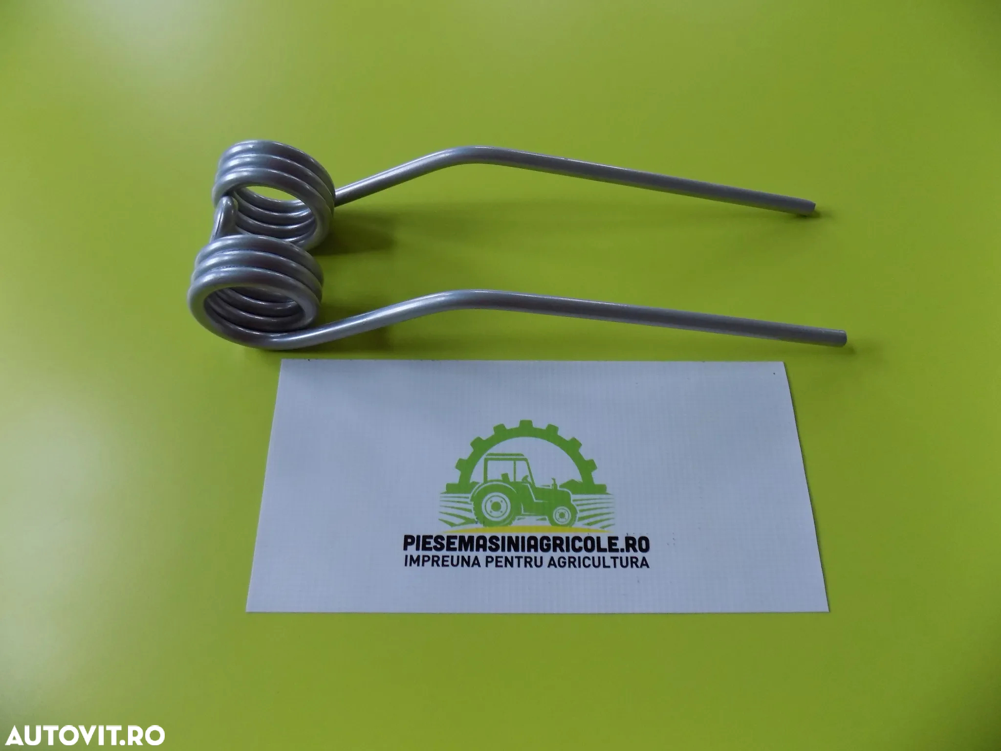 dinti grebla paianjen kuhn - 5