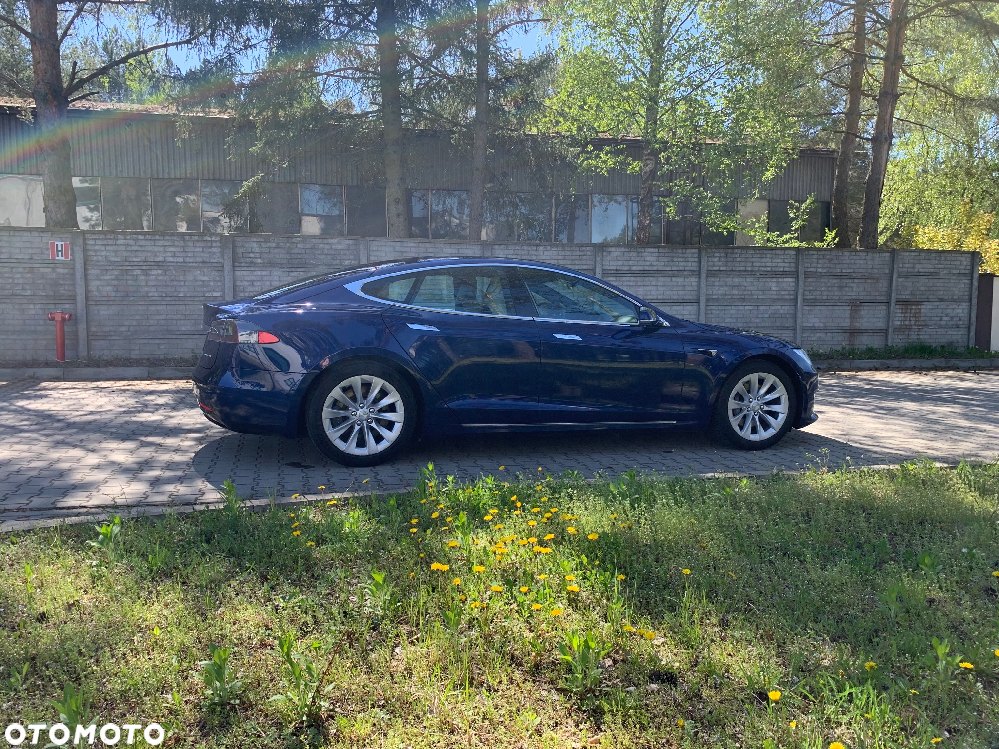 Tesla Model S 100 D Performance - 6