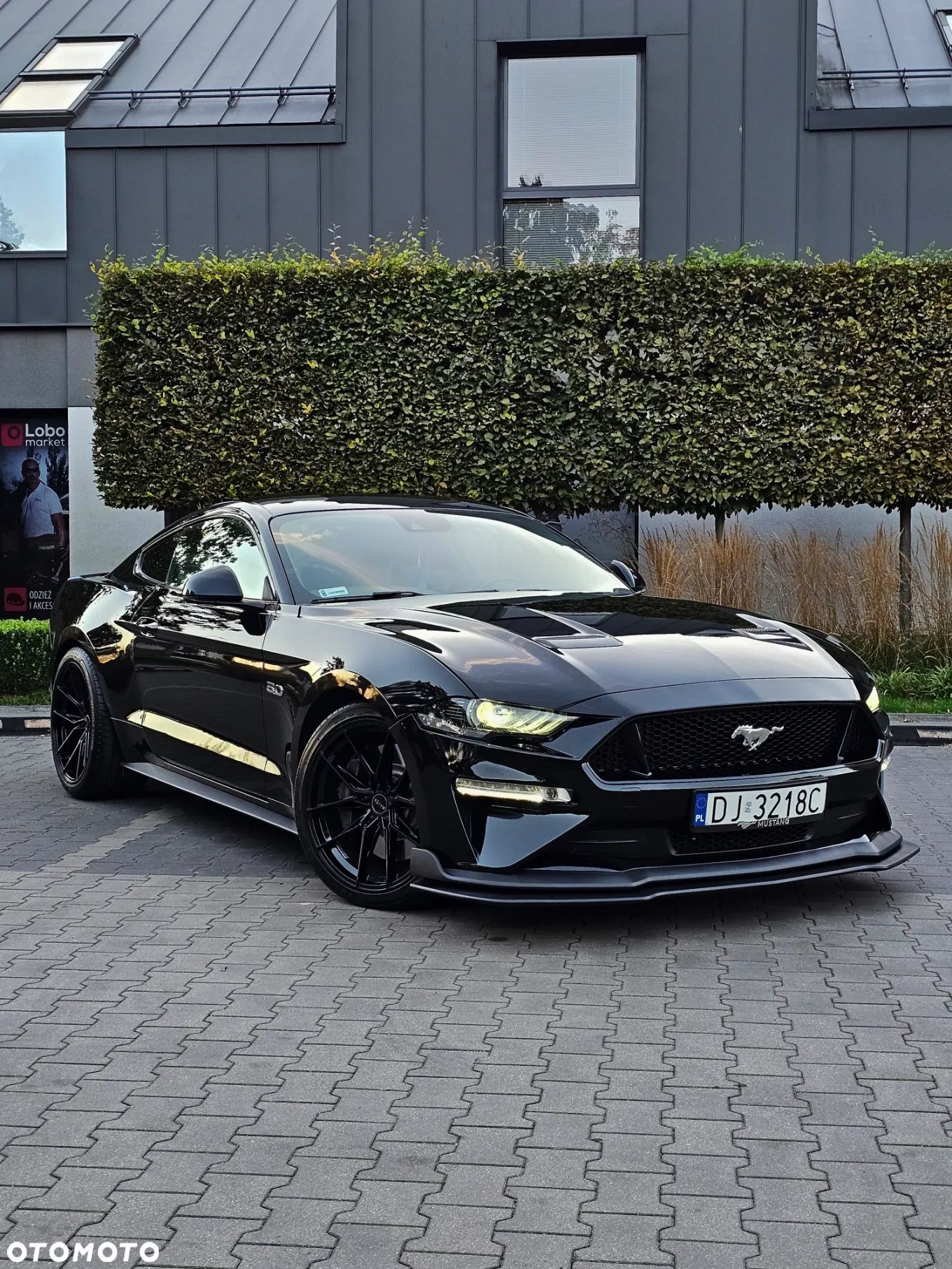 Ford Mustang 5.0 V8 GT - 1