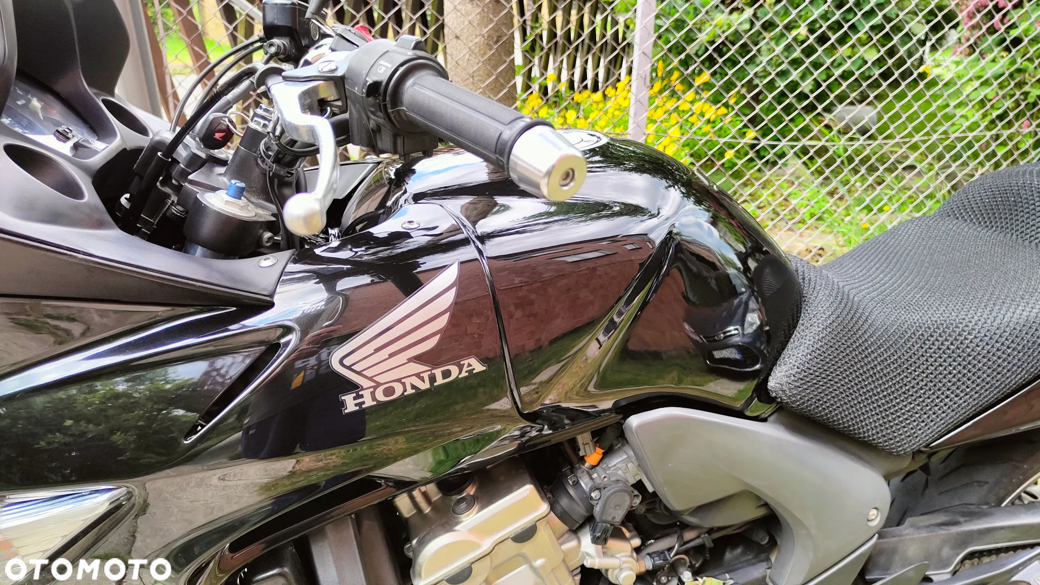 Honda CBF - 5