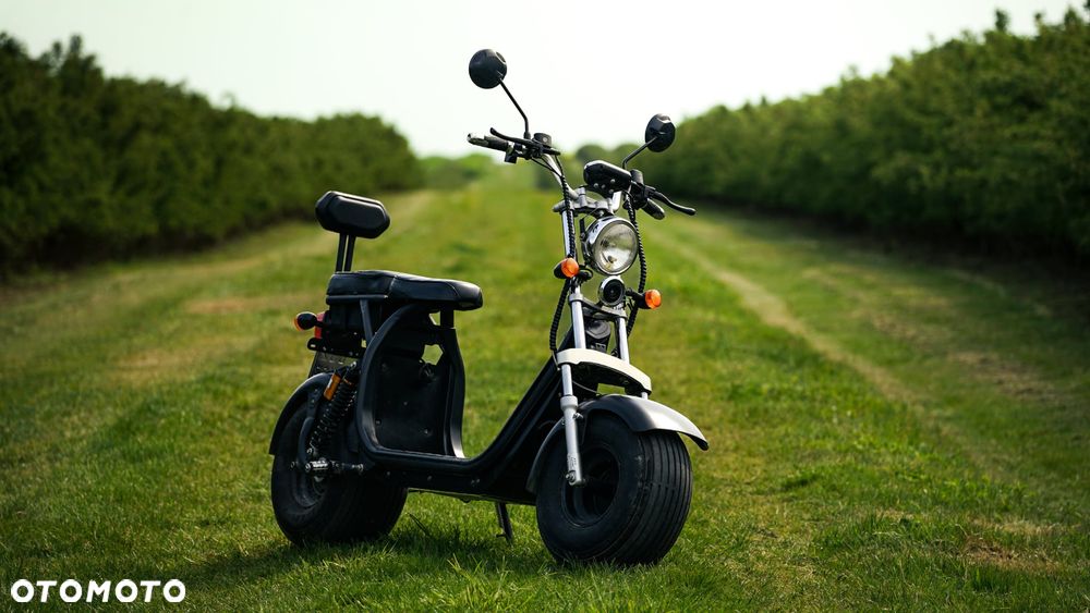 Bili Coco Big Chopper - 1