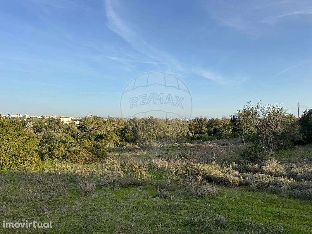 Terreno  para venda - Grande imagem: 4/16