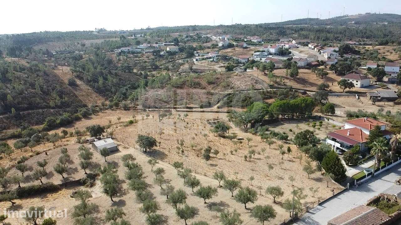 Terreno - Benquerenças, Castelo Branco - Grande imagem: 5/9