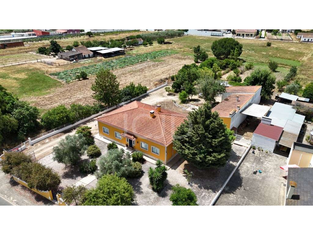 Moradia T4 com Terreno de 1,2 Hectares - Foros de Benfica - Grande imagem: 3/37