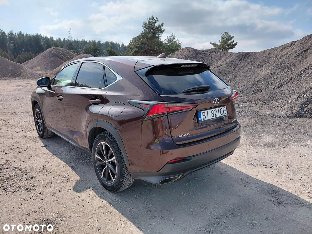 Lexus NX 300 Business Edition AWD - 4