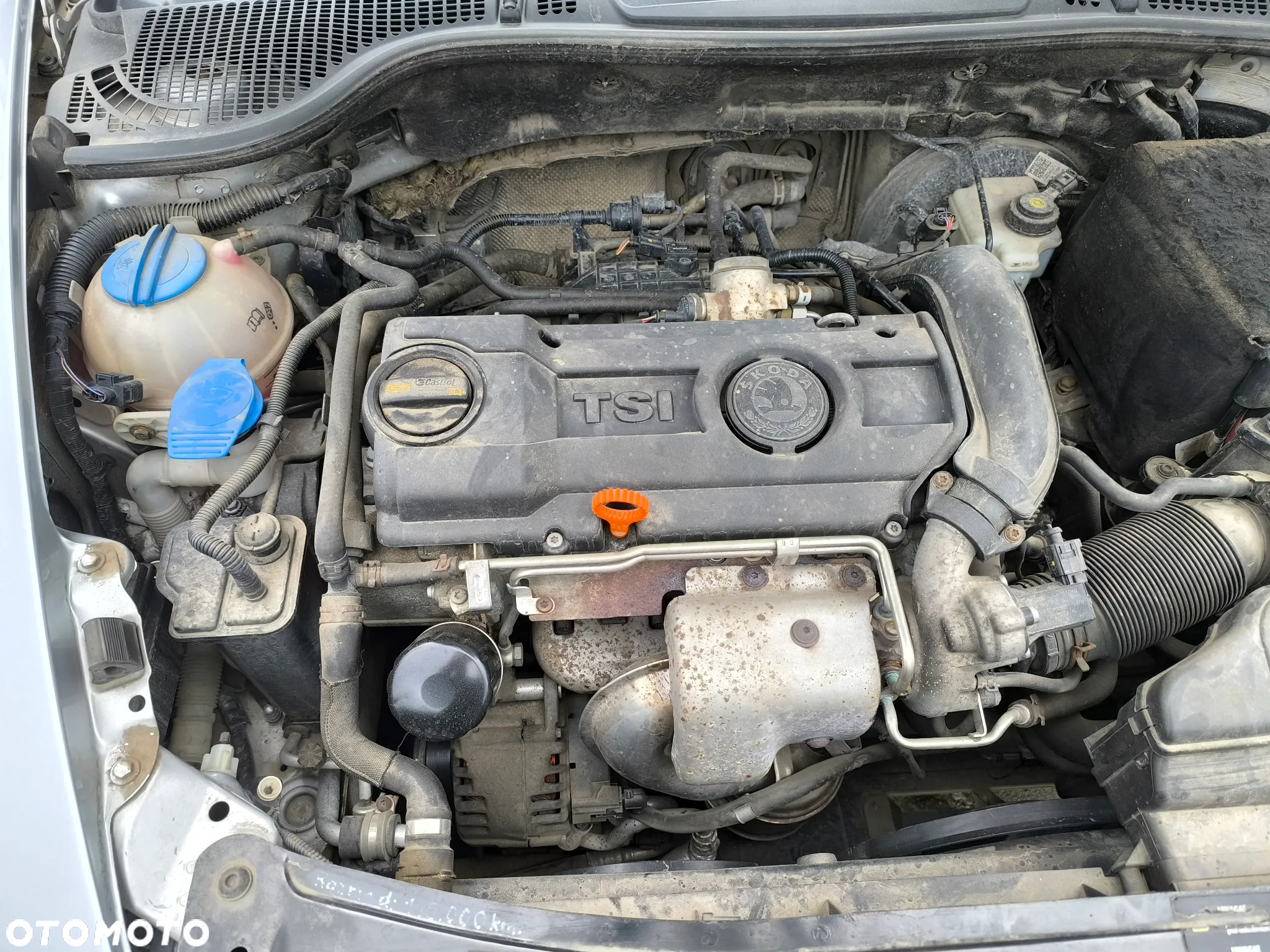 Skoda Octavia 1.4 TSI Ambiente - 14