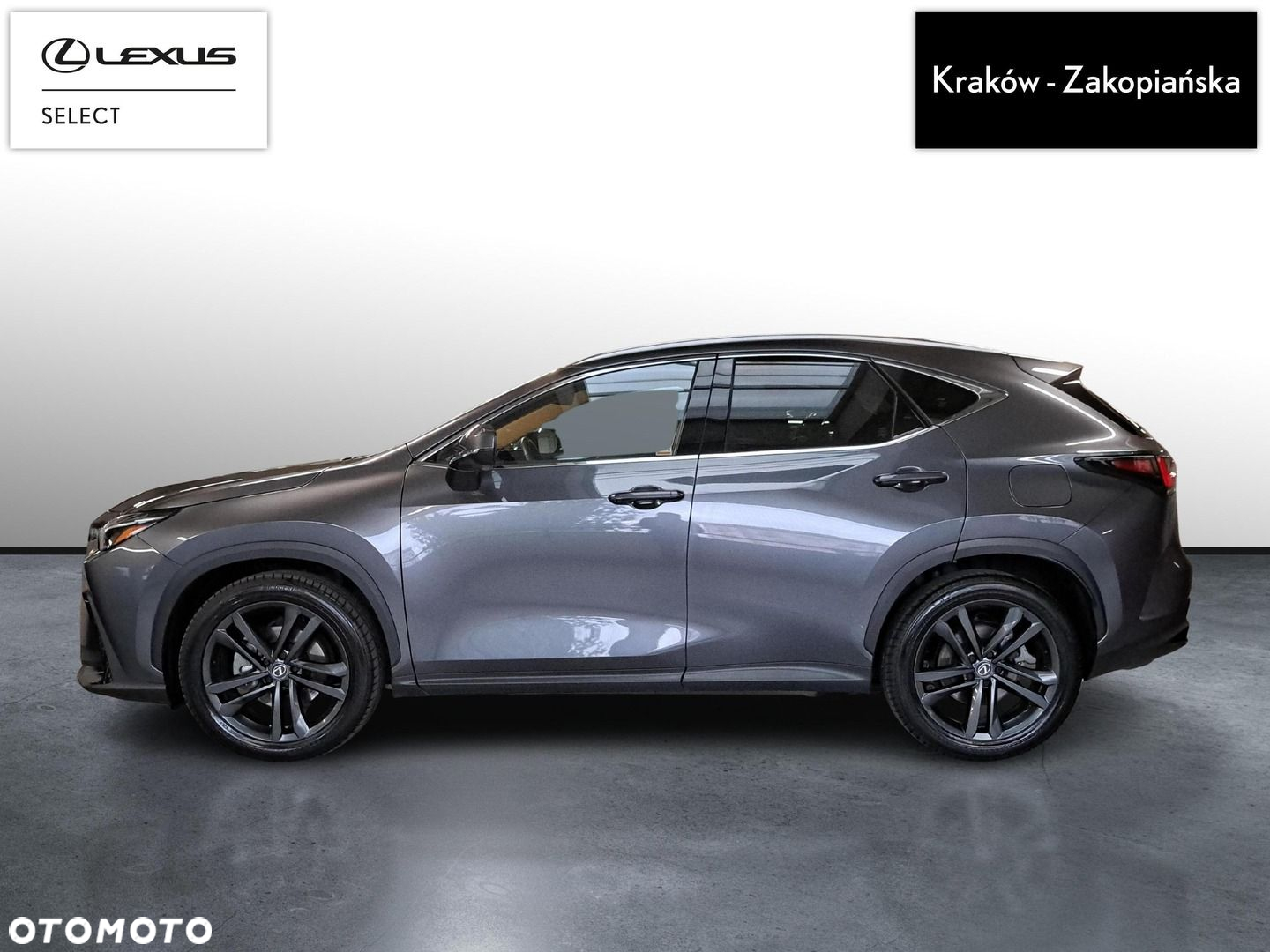 Lexus NX - 4