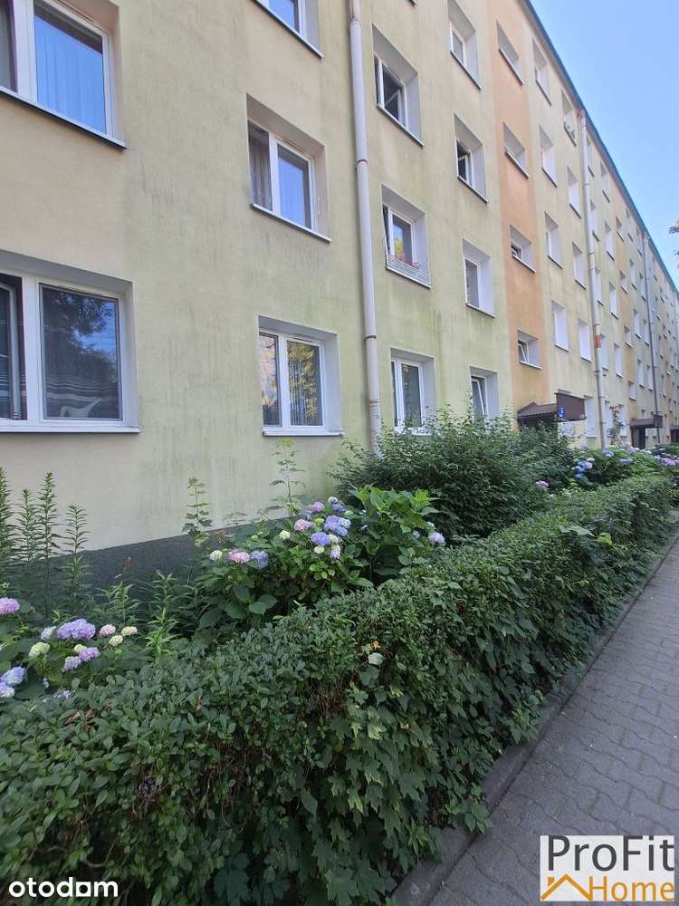 Kozłówek - mieszkanie do remontu z piwnicą 46,92 M