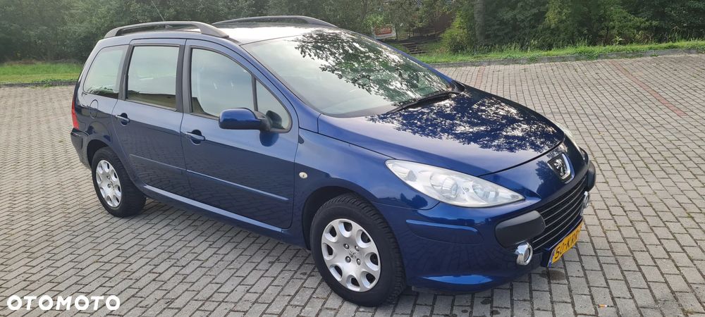 Peugeot 307 110 Premium - 34