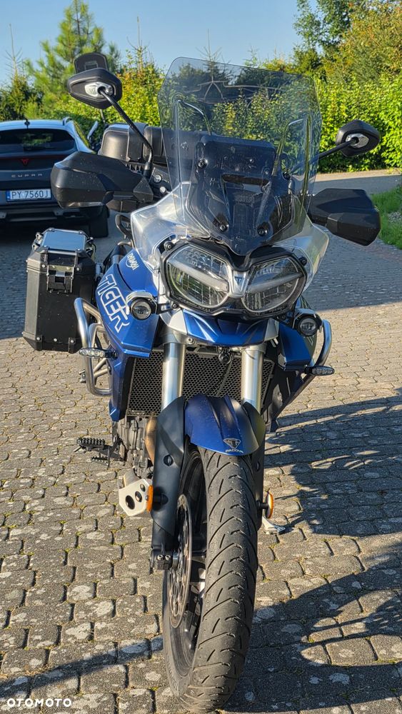 Triumph Tiger - 5
