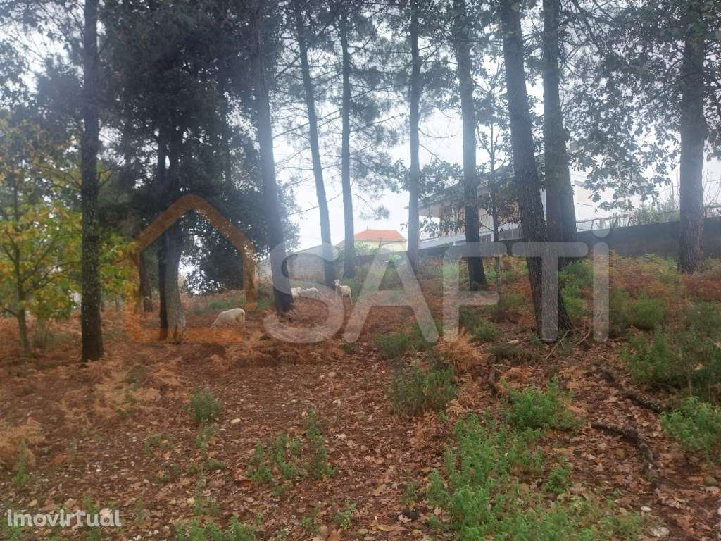 Terreno Rustico, para construção de 3 moradia - Grande imagem: 2/8