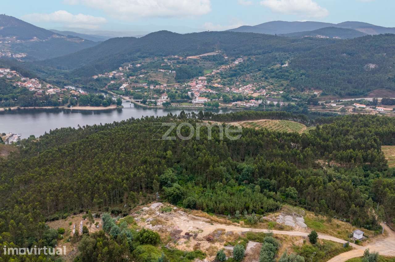 Terreno florestal urbanizável com 45.200 m2 - Melres, Gondomar - Grande imagem: 2/9