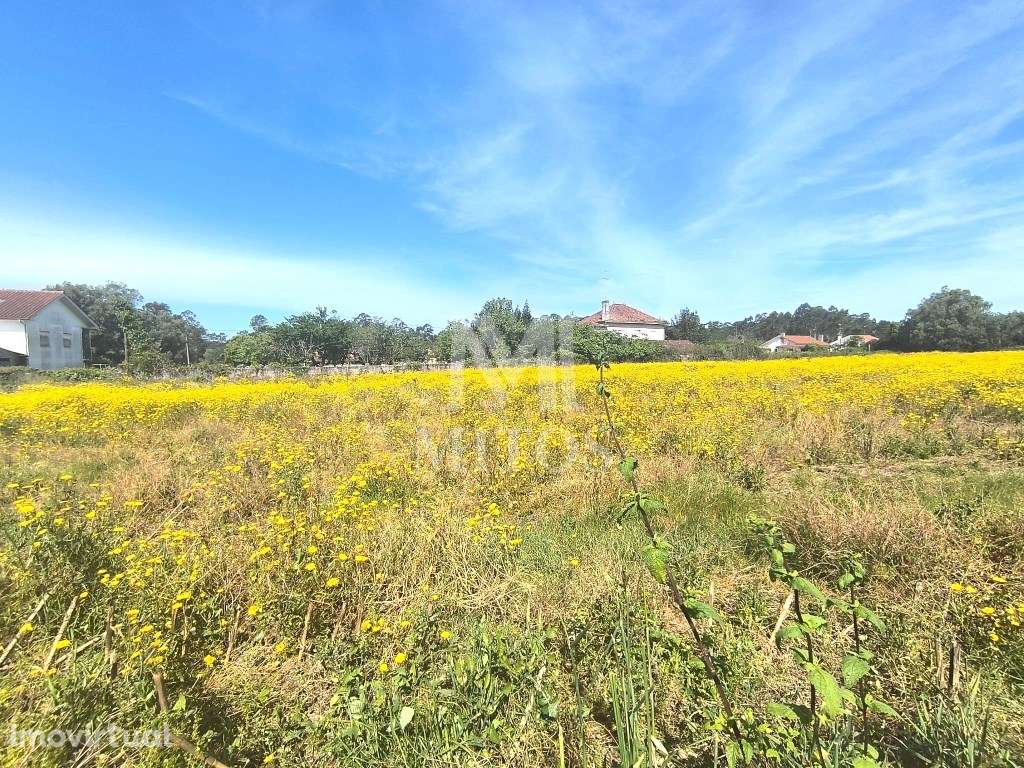 Terreno de construção para venda em Vila Fria - Viana do Castelo - Grande imagem: 4/10