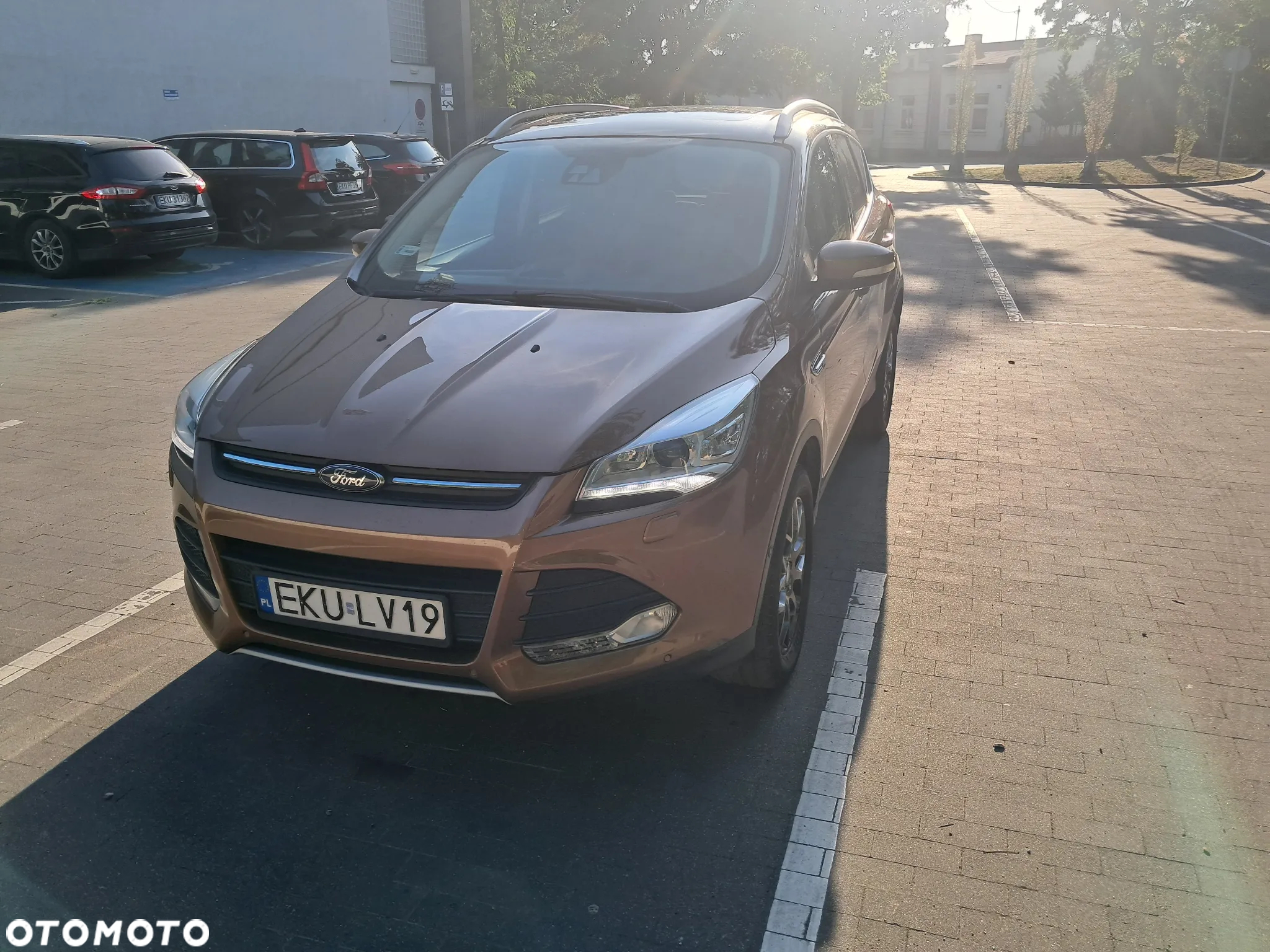 Ford Kuga 2.0 TDCi 4WD Titanium - 2