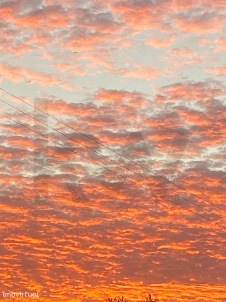 Moradia T3 CASTRO VERDE + Terreno - Grande imagem: 4/60