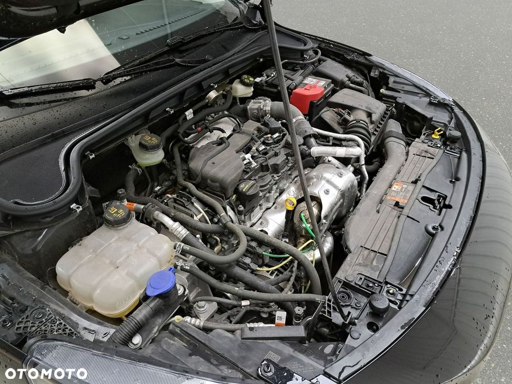 Ford Focus - 14