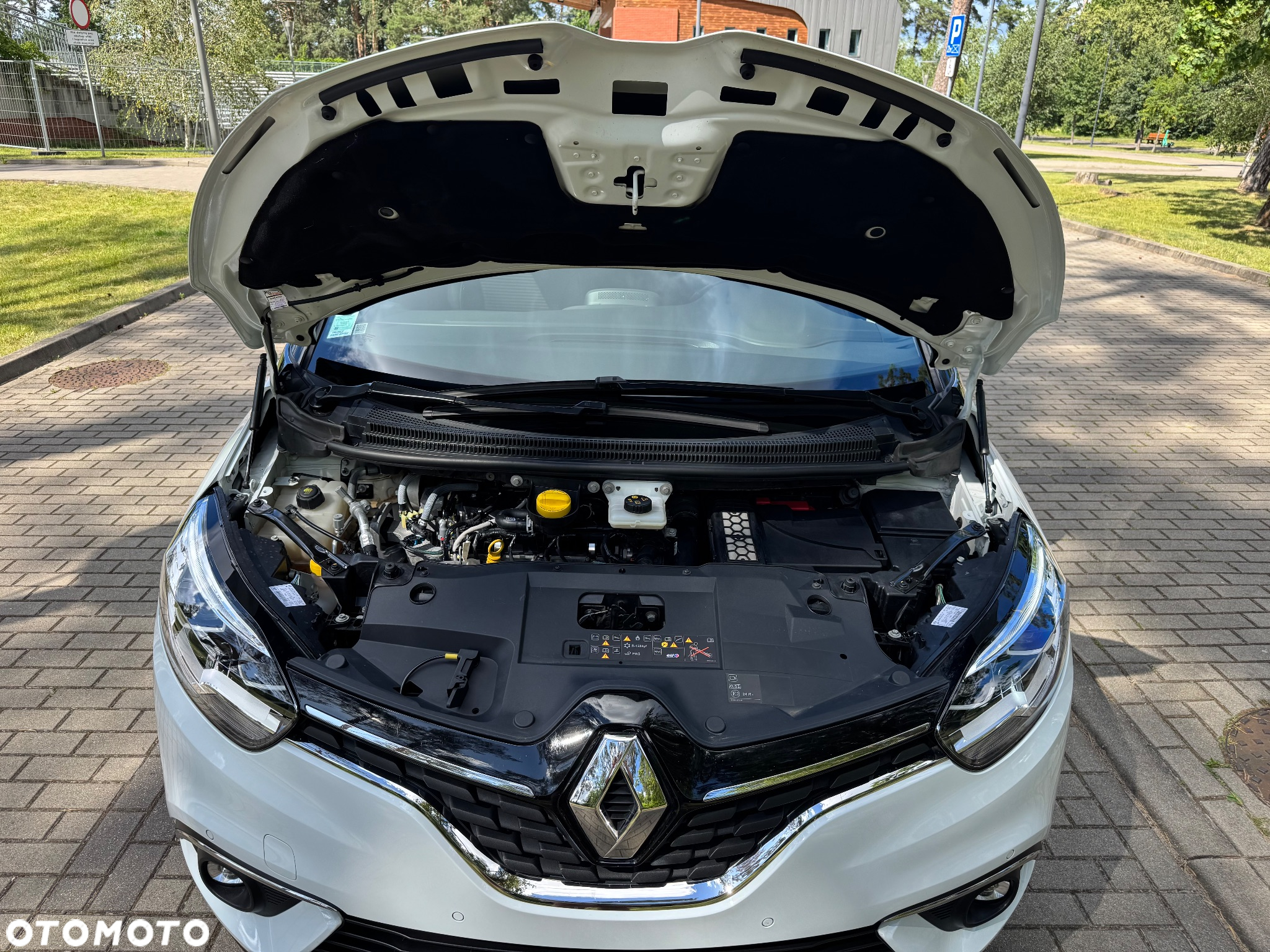 Renault Scenic - 34