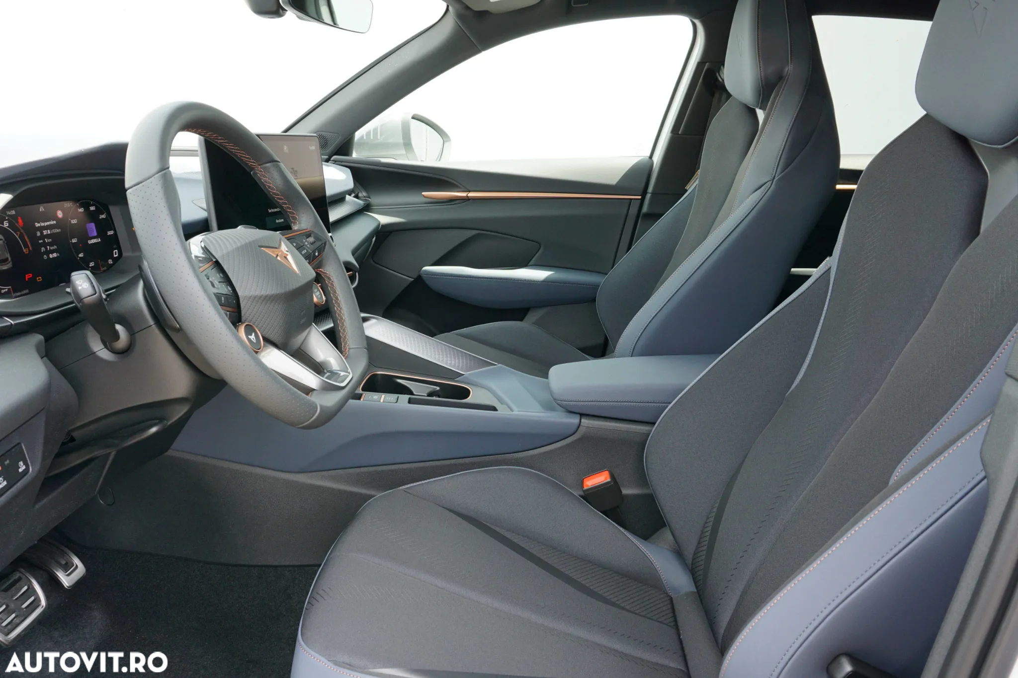 Cupra Terramar - 13