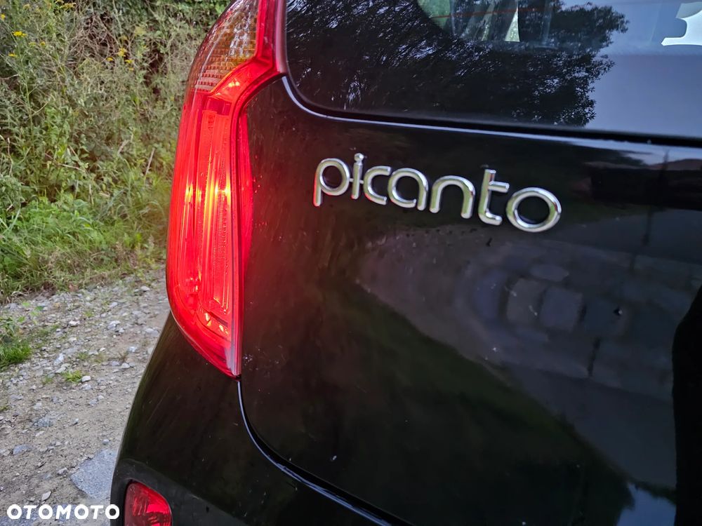 Kia Picanto - 35