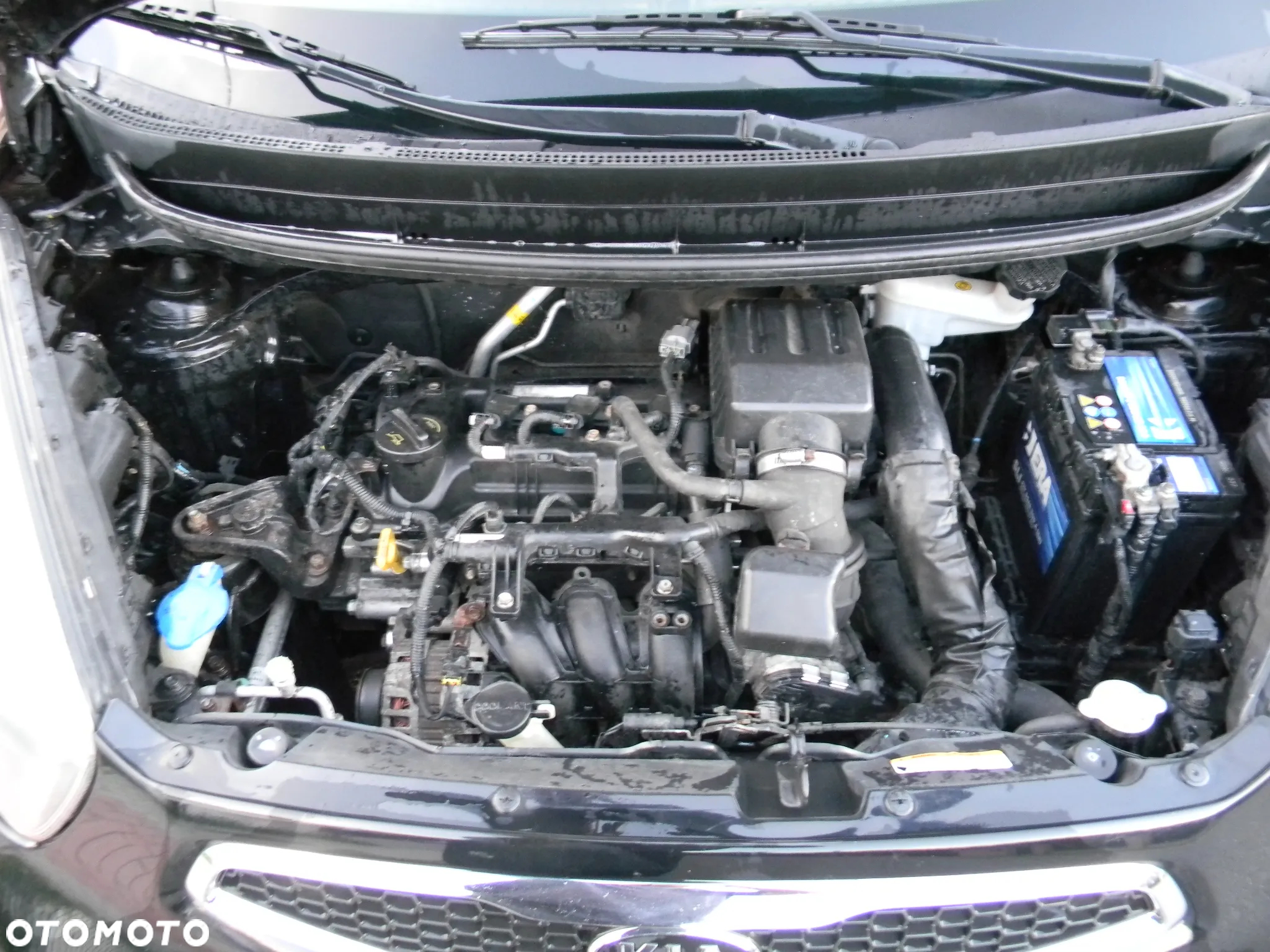 Kia Picanto 1.0 Dream Team Edition - 9