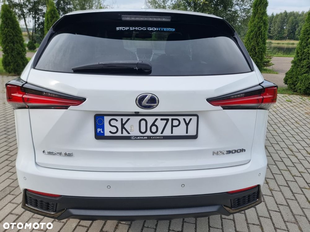 Lexus NX 300h F Sport Edition AWD - 11