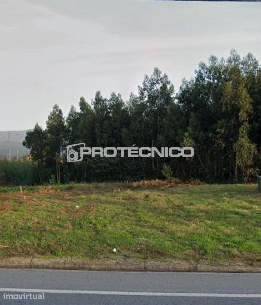 Terreno c/ 10.000m2 – Albergaria-a-Velha - Grande imagem: 3/5