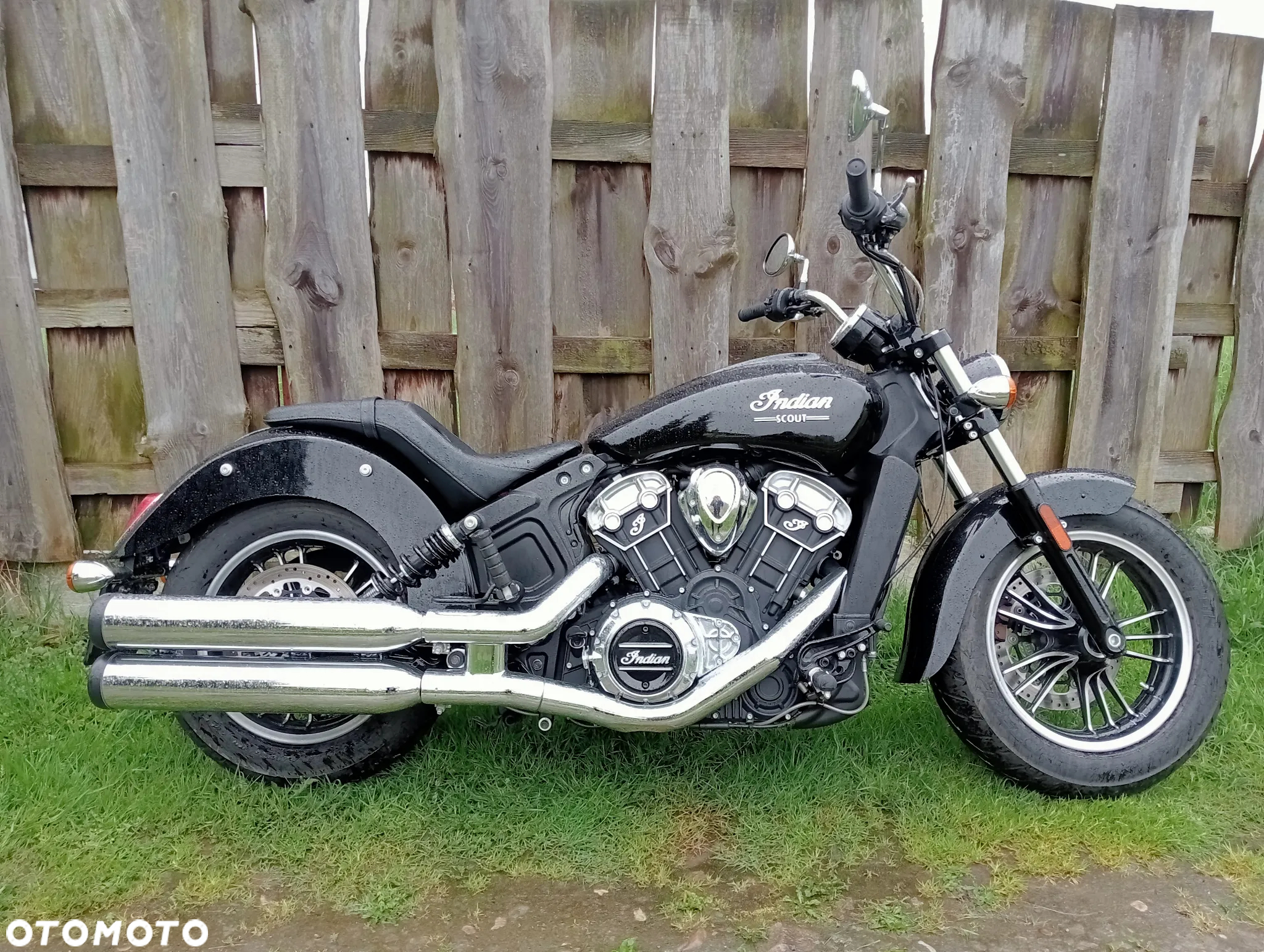 Indian Scout - 3