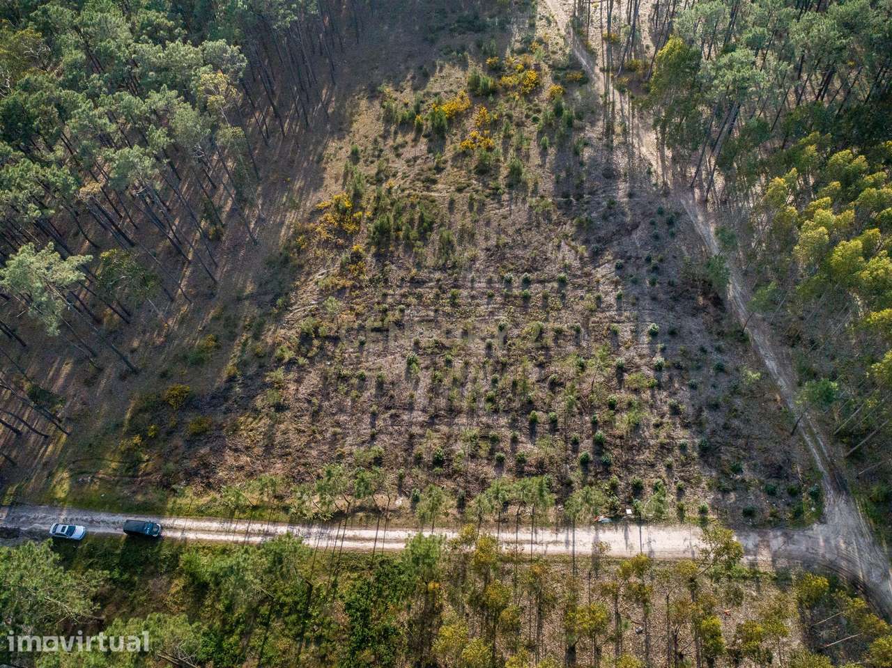 TERRENO INDISTRIAL - MACEIRA - Grande imagem: 2/4