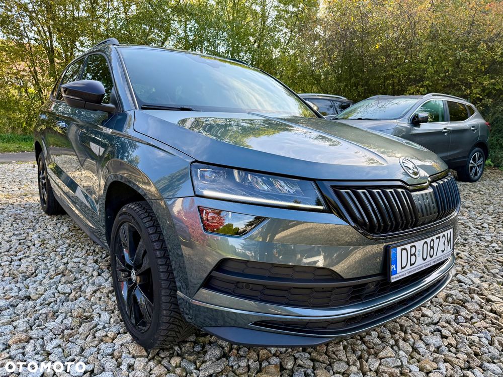 Skoda Karoq 2019 photo 3