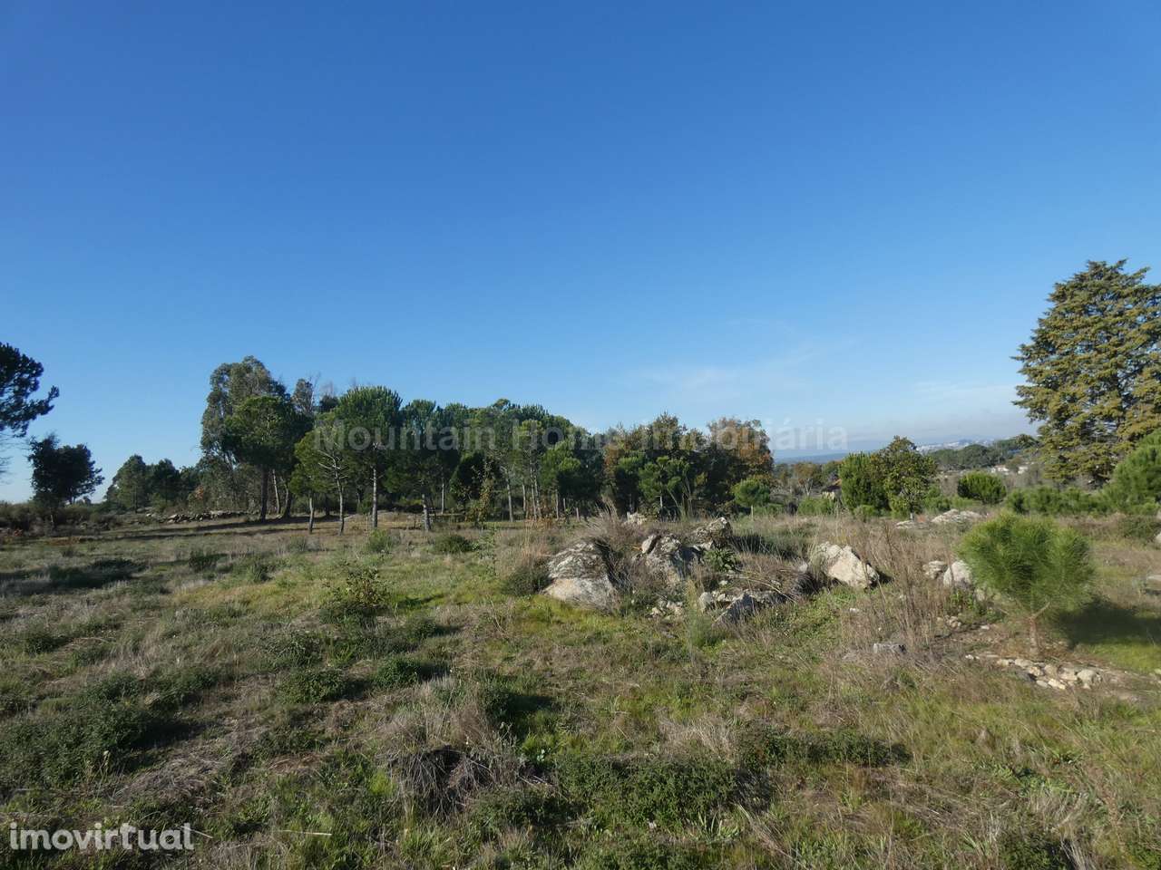 Quinta  Venda em Paranhos,Seia - Grande imagem: 3/16