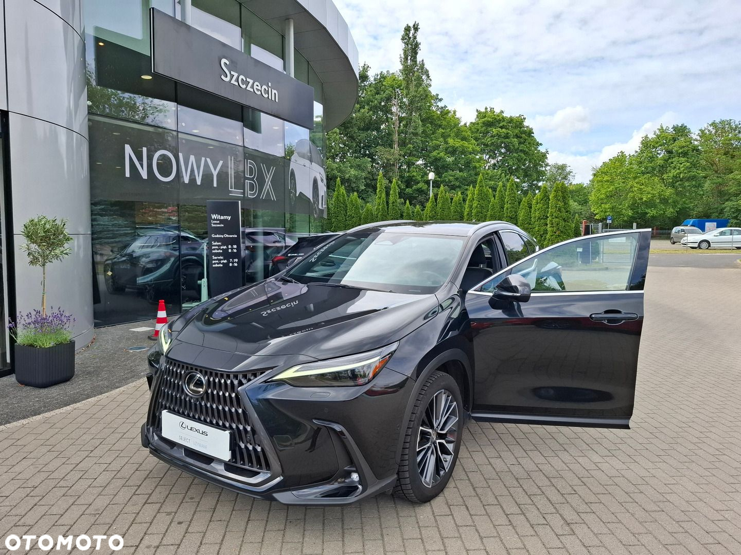 Lexus NX - 9