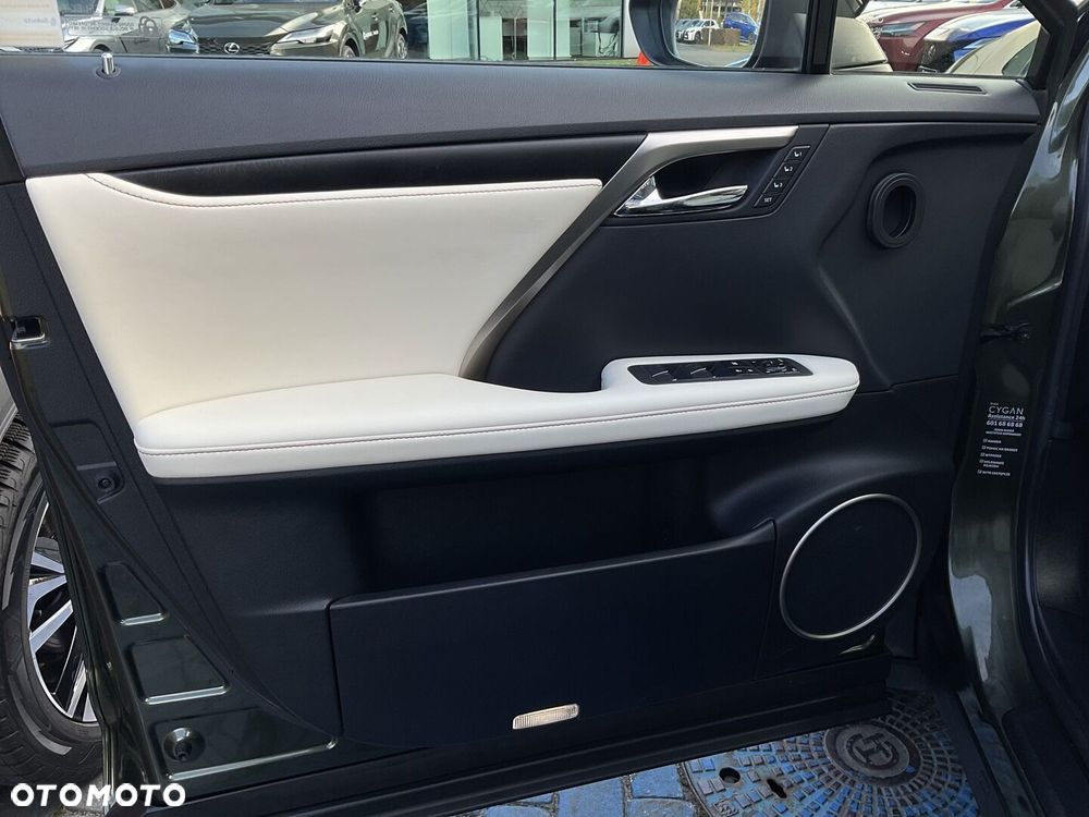 Lexus RX 450h F-Impression - 19
