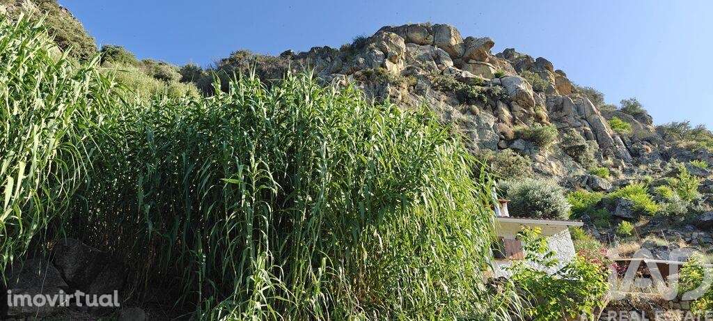 Quinta em Idanha-a-Nova e Alcafozes de 49 m2 - Grande imagem: 5/18
