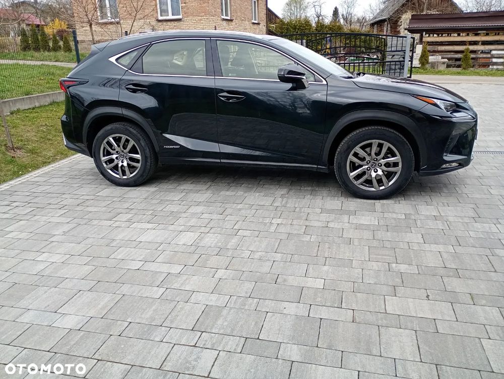 Lexus NX 300h Elegance 2WD - 5