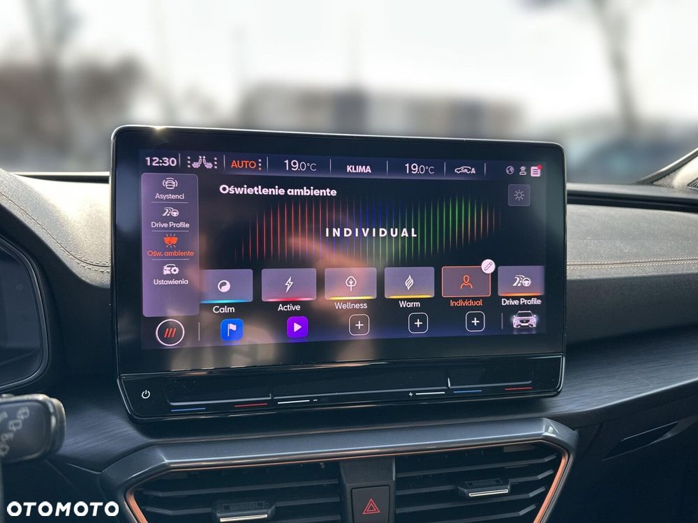 Cupra Formentor 2.0 TSI 4Drive VZ DSG - 28