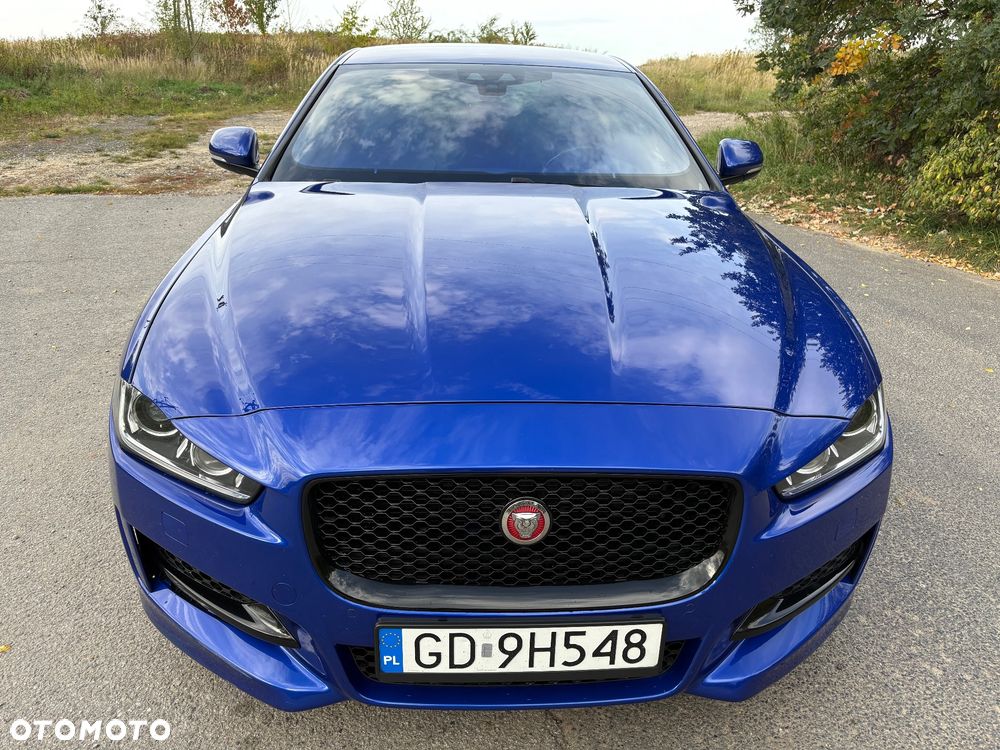 Jaguar XE - 8