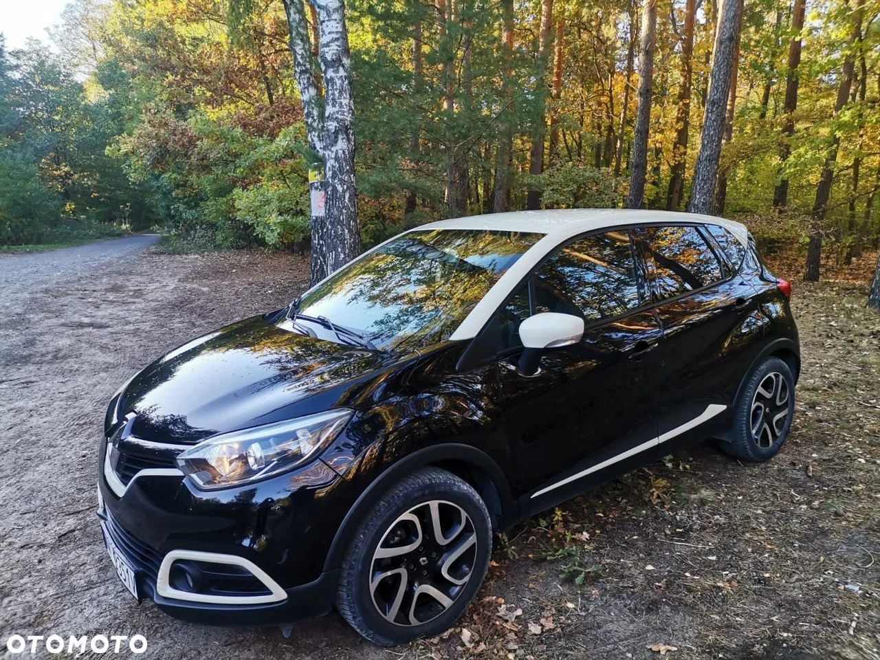 Renault Captur - 1