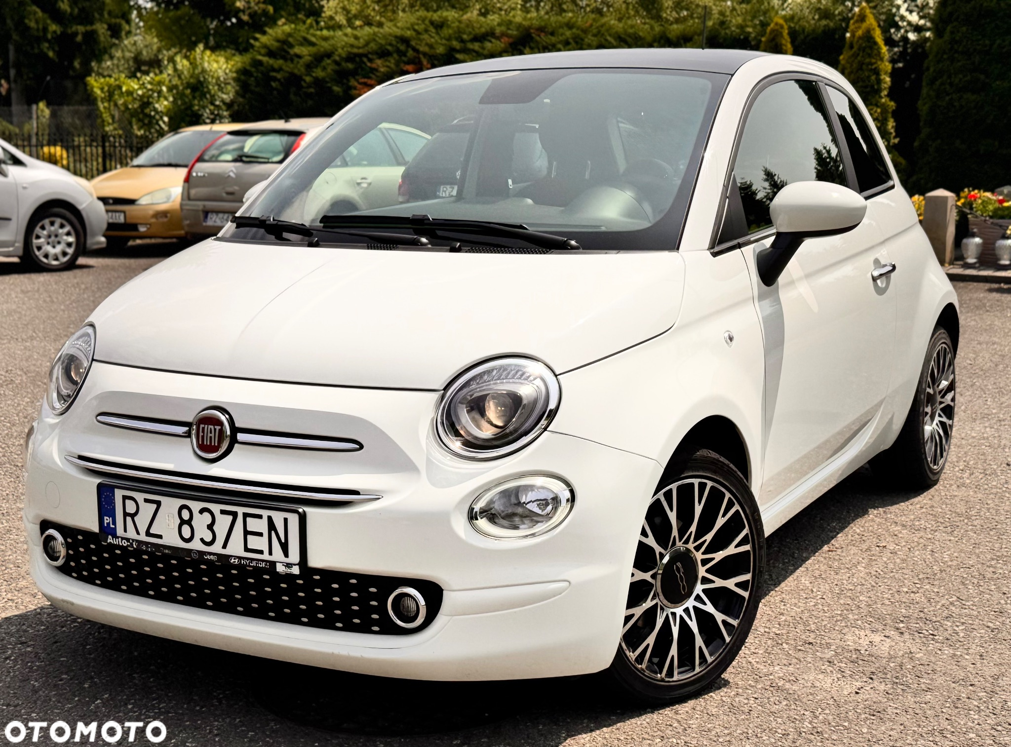 Fiat 500 - 2