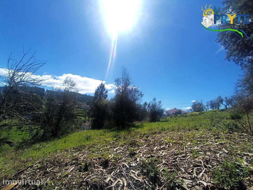 Ruínas com terreno situadas a 5 quilómetros da Vila da Sertã - Grande imagem: 3/20