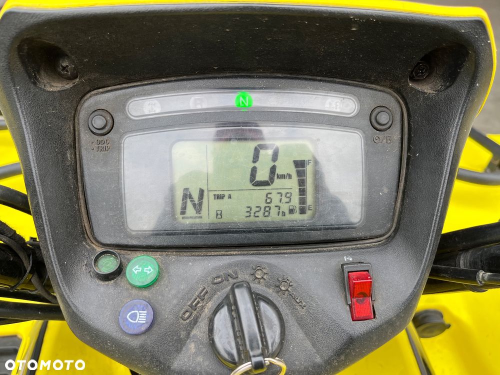Suzuki Kingquad - 9