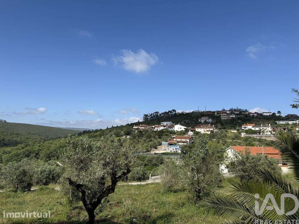 Terreno em Alqueidão da Serra - Grande imagem: 5/22