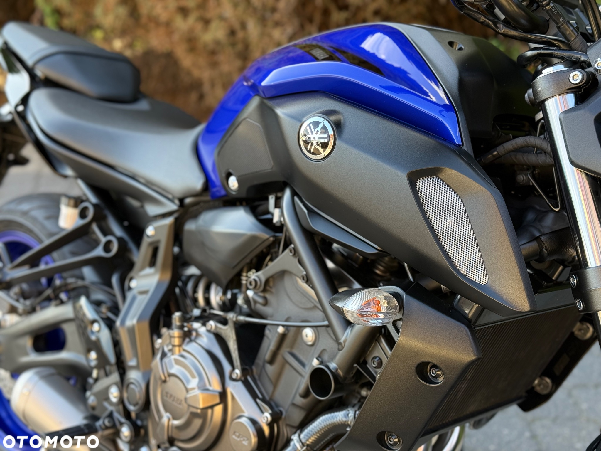 Yamaha MT - 17