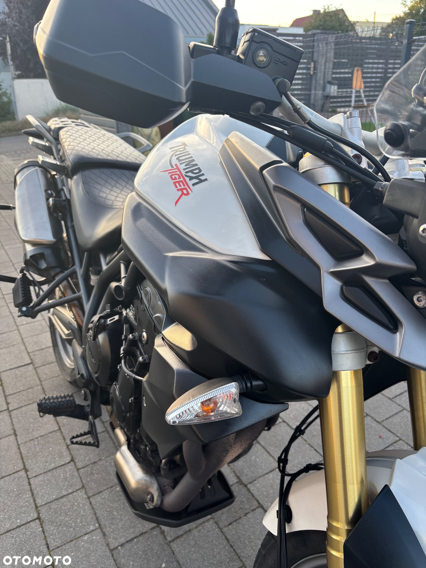 Triumph Tiger - 15