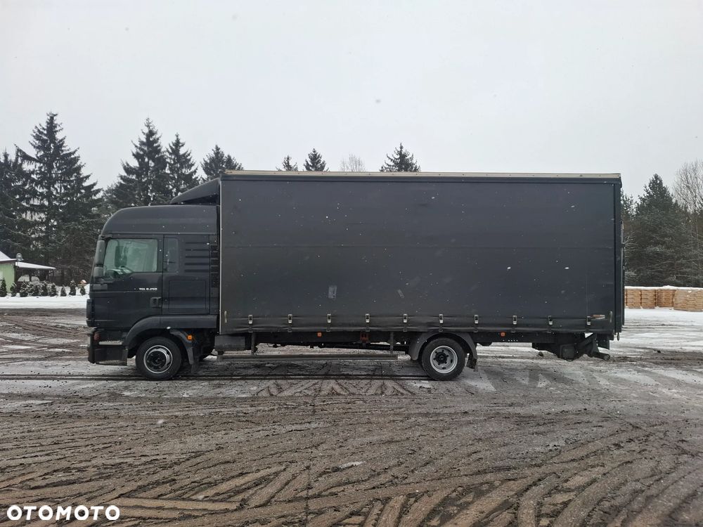 MAN TGL 8.250 - 8