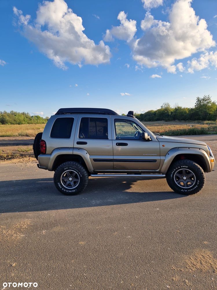 Jeep Cherokee 2.8L CRD Renegade - 9